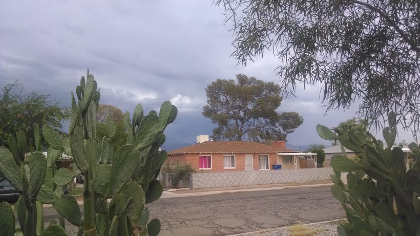 IMG_20140703_174917613[1]